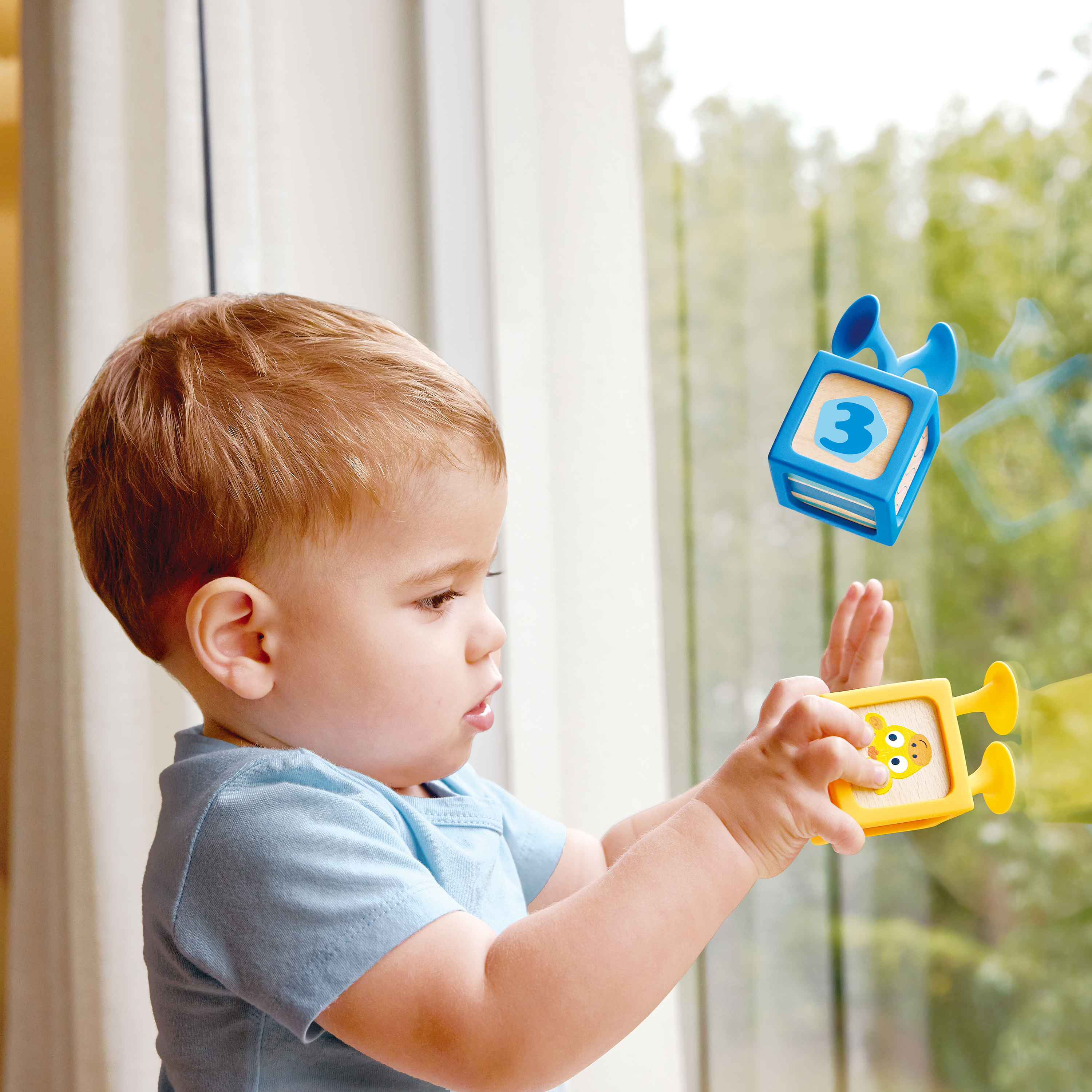 Delightful Discovery Blocks