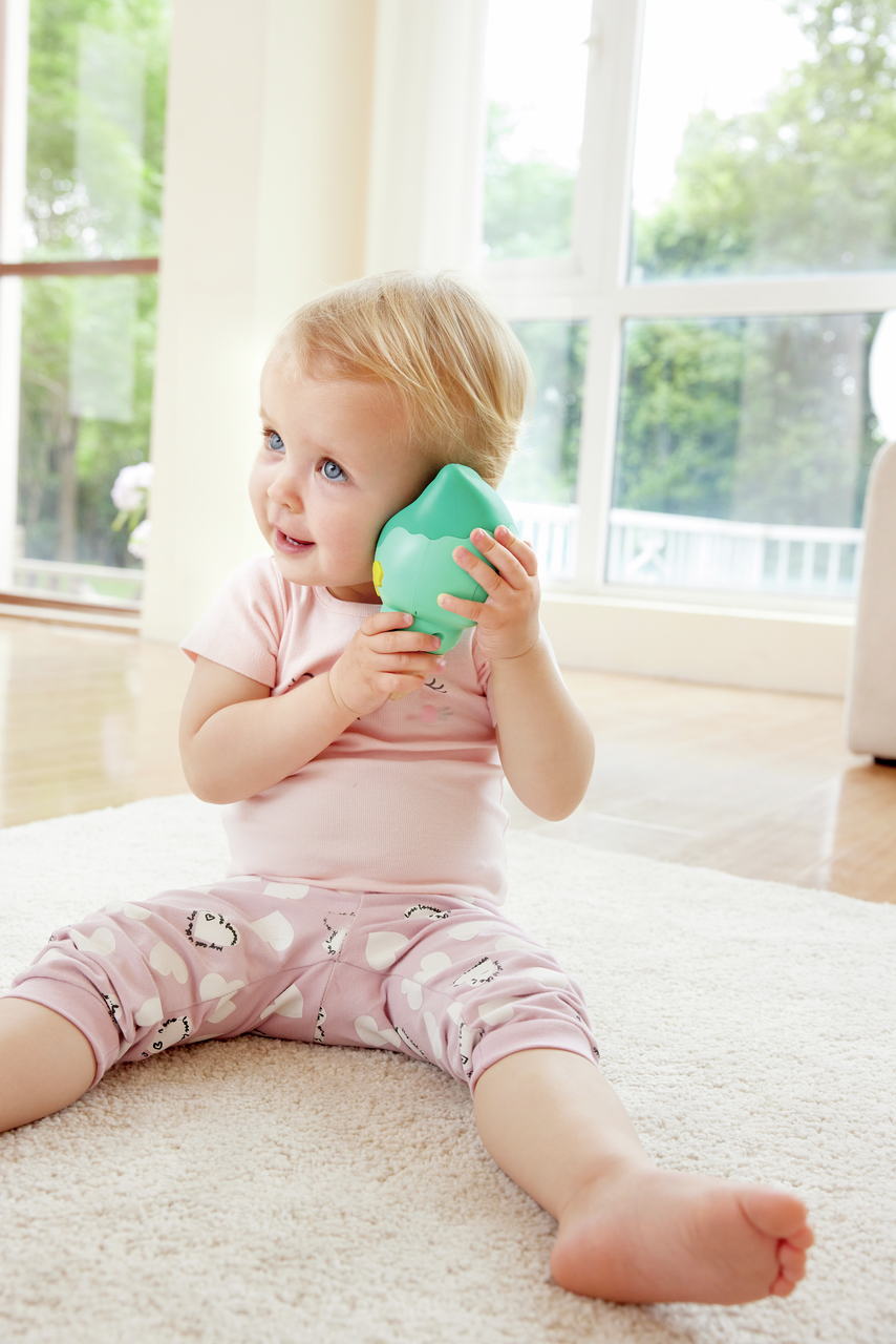 Sea Snail Phonograph Sea Snail Phonograph