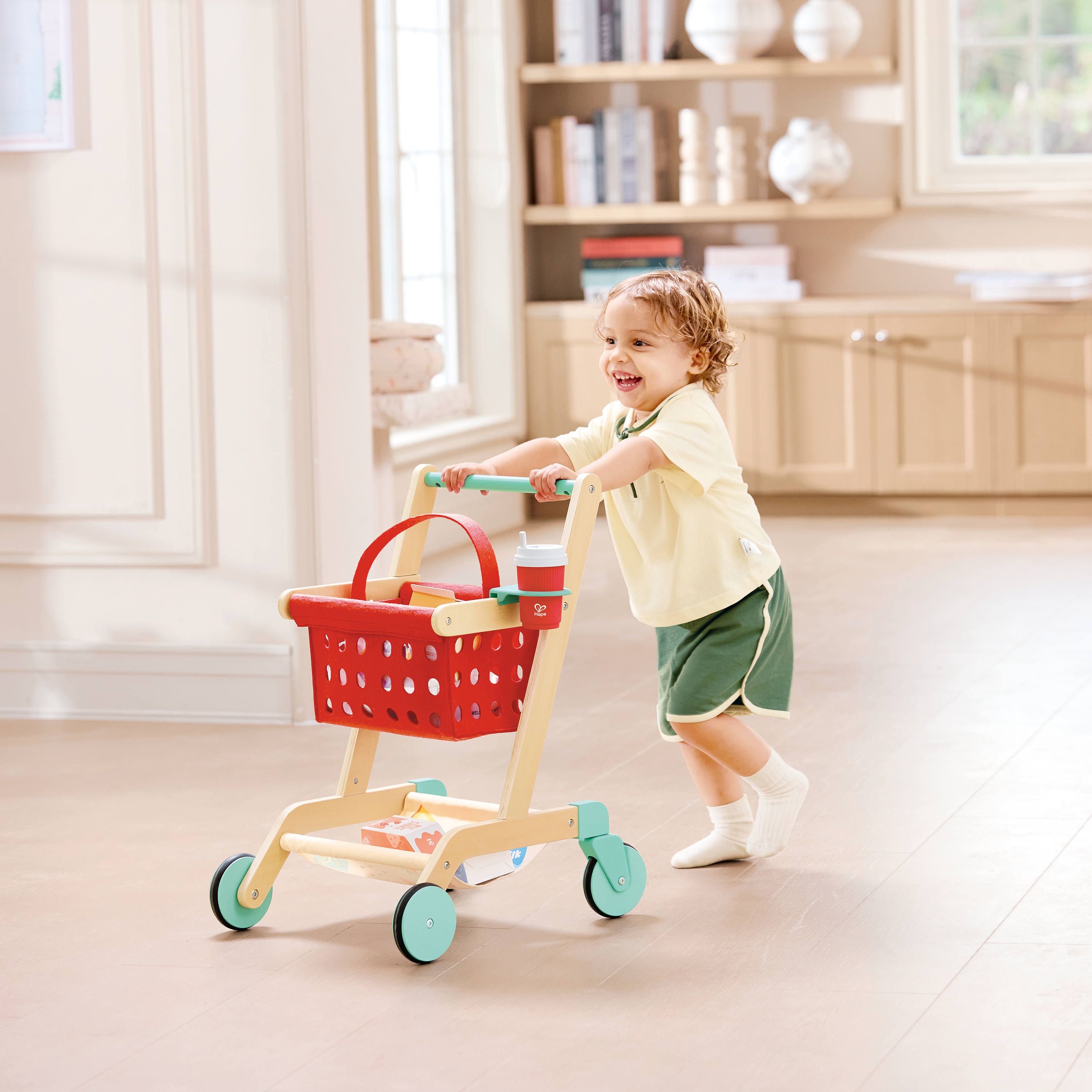 Carrito y Cesta del Pequeño Comprador