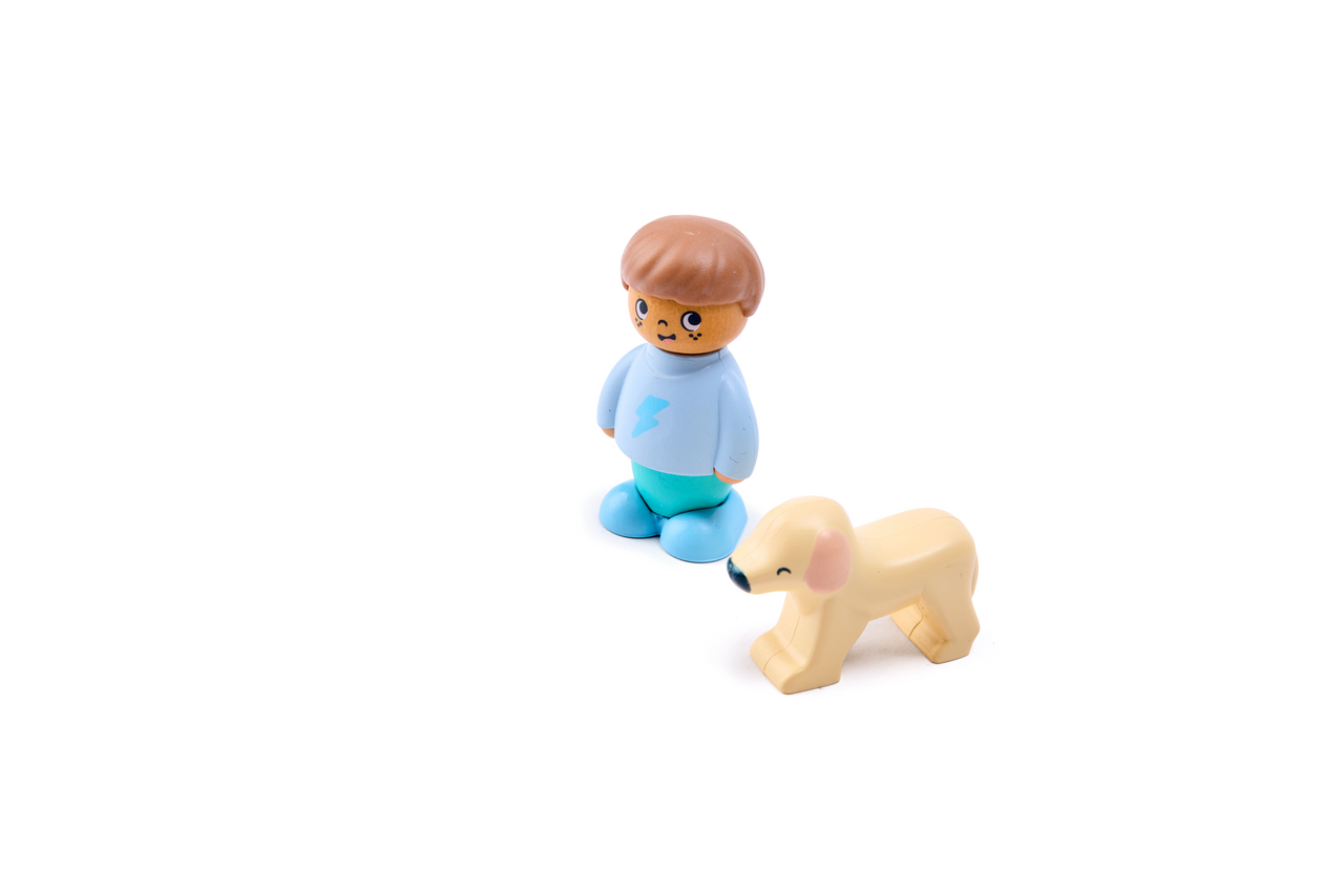 The Dog's New Friend