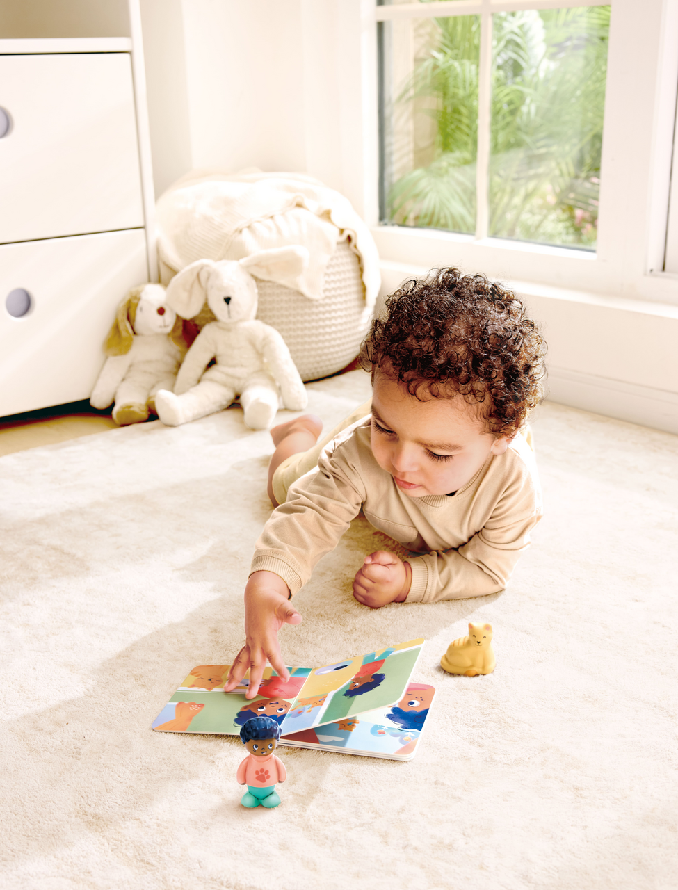 The Cat's Secret The Cat's Secret