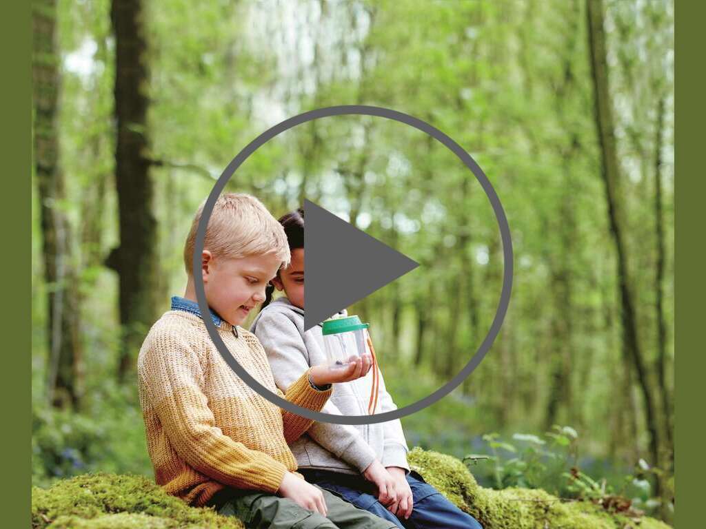 Laboratorio Móvil de Insectos Laboratorio Móvil de Insectos