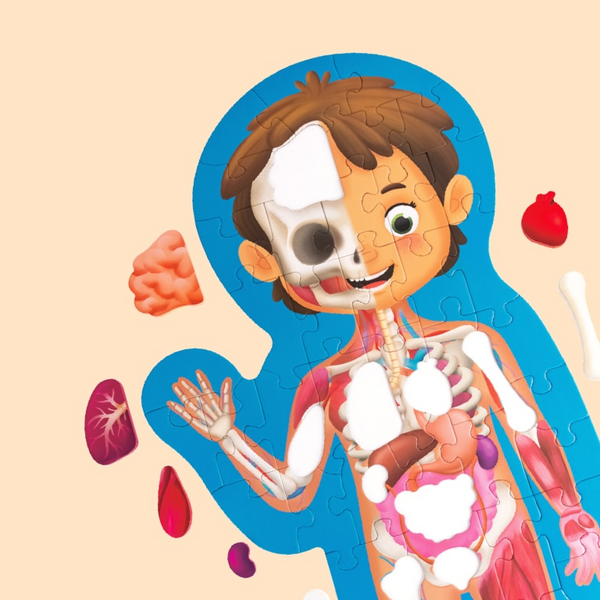 Puzle Cuerpo Humano