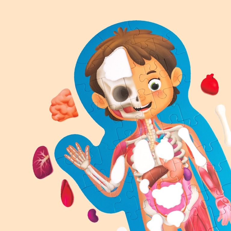 Puzle Cuerpo Humano Puzle Cuerpo Humano