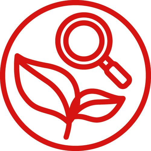 Exploración y Descubrimiento