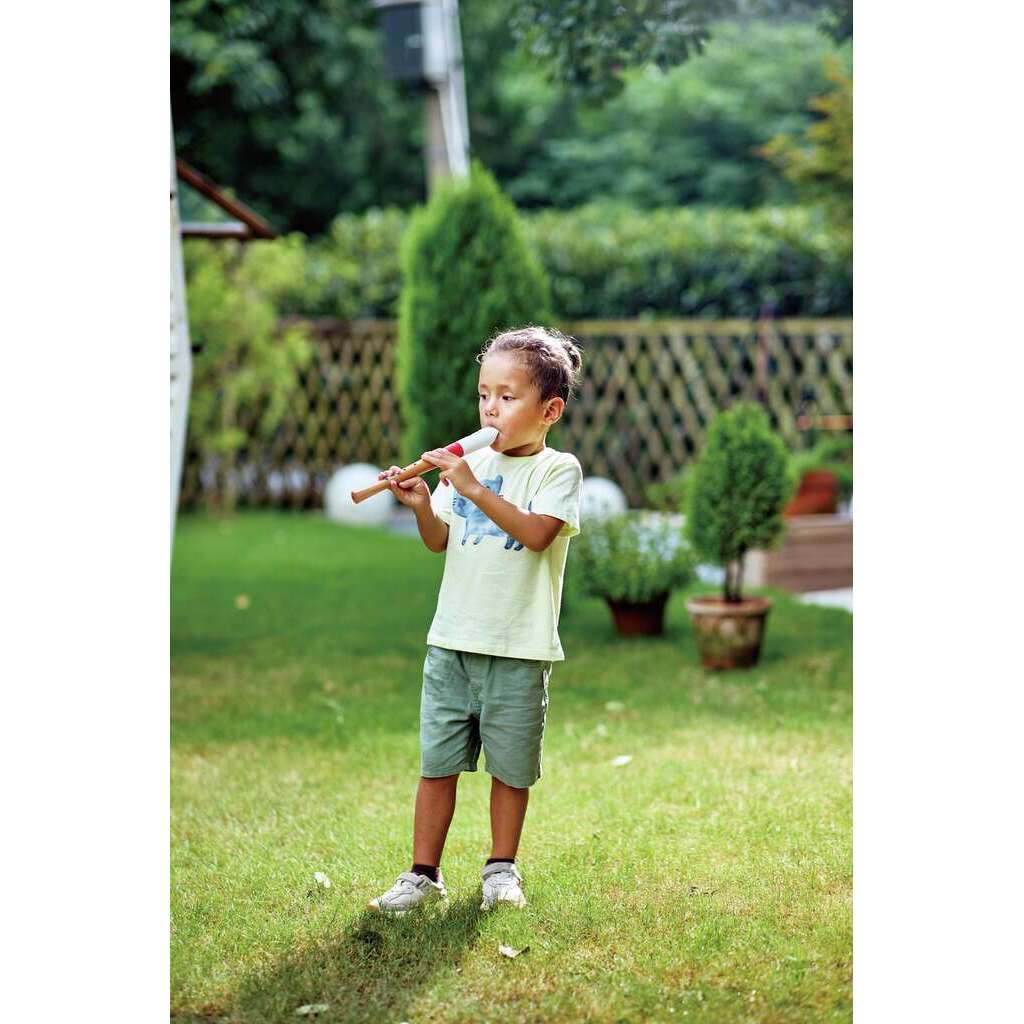 Grabadora para músicos principiantes  Grabadora para músicos principiantes