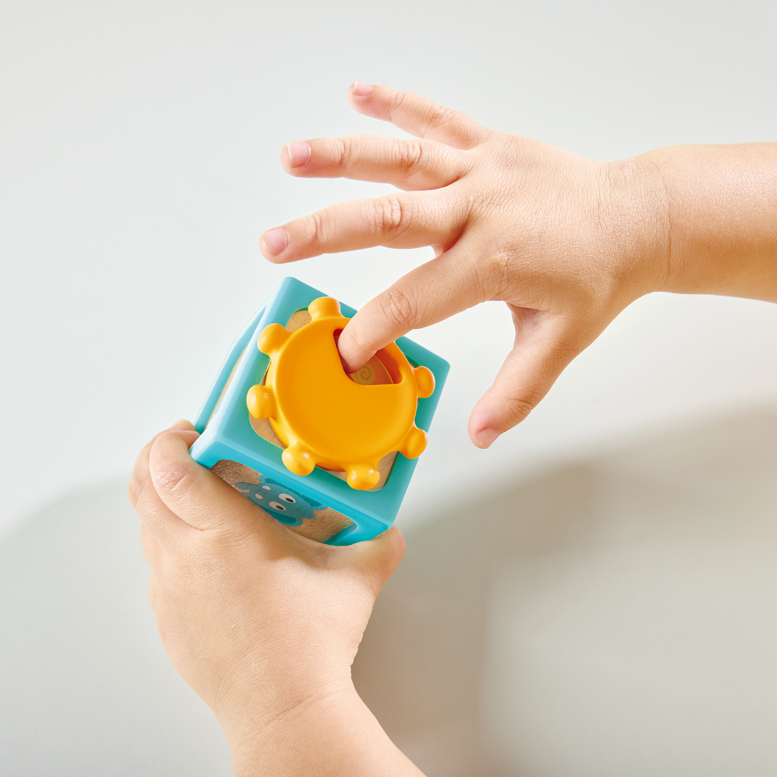 Delightful Discovery Blocks