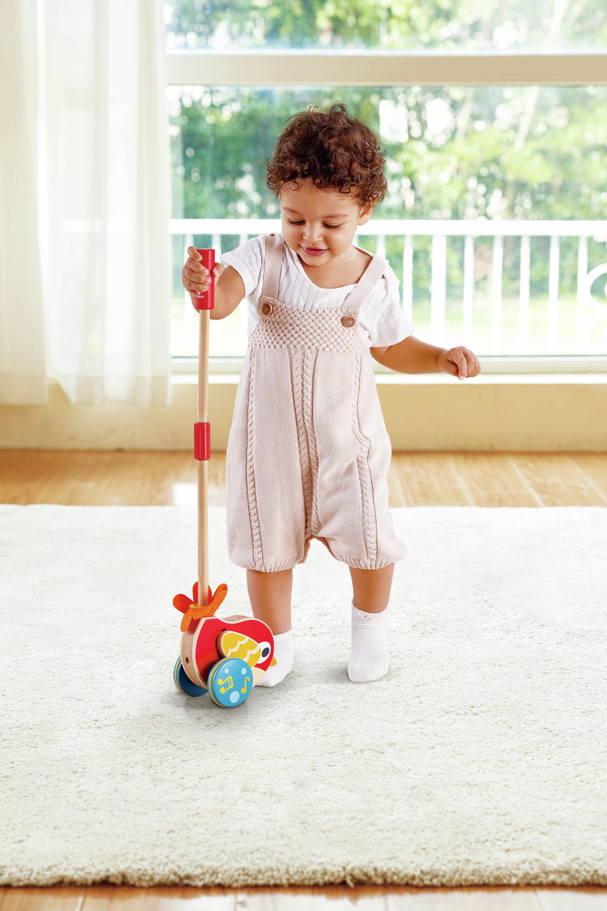 Pajarito Lilly de Arrastre Pajarito Lilly de Arrastre