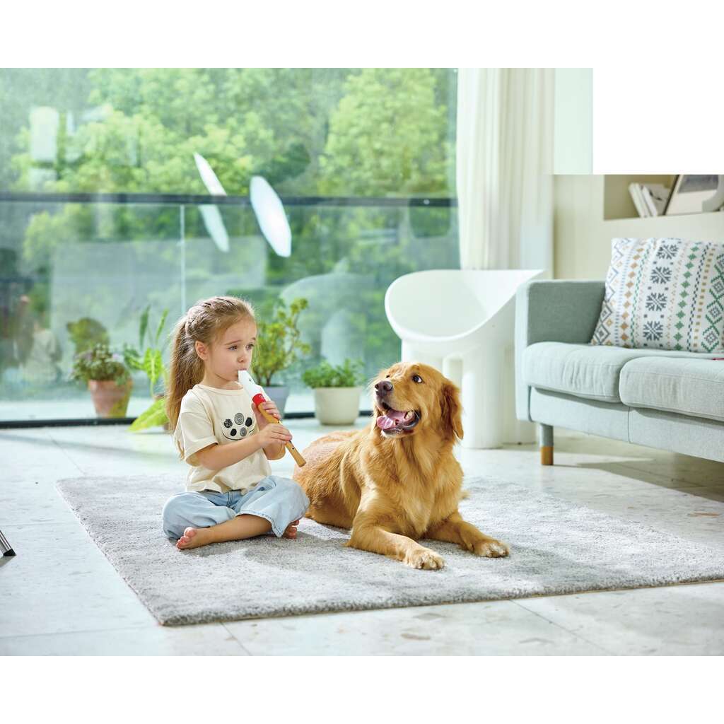 Grabadora para músicos principiantes  Grabadora para músicos principiantes