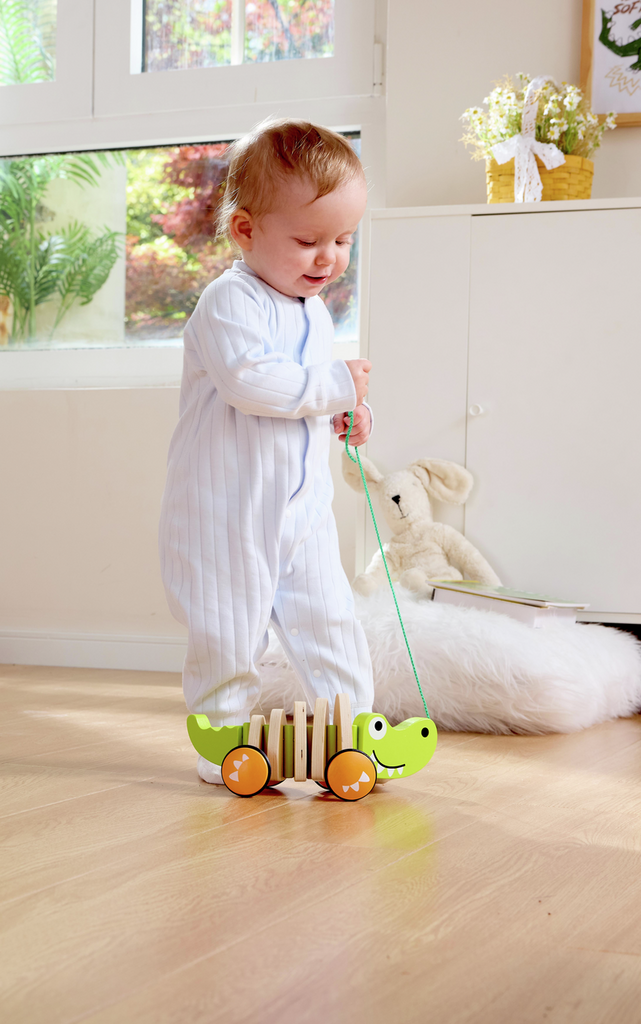 Cocodrilo de Arrastre Cocodrilo de Arrastre