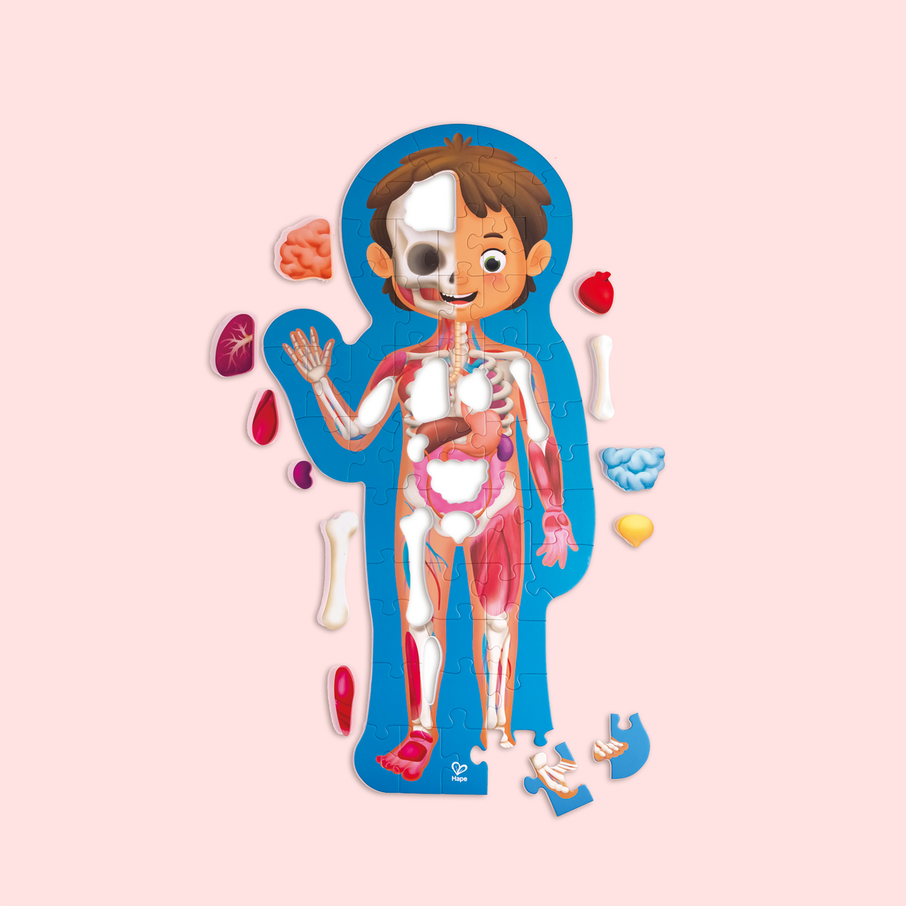 Puzle Cuerpo Humano Puzle Cuerpo Humano