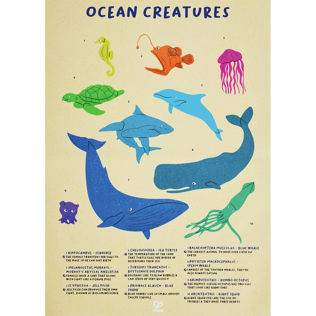 Puzzle de Suelo Brillante de Ballena - 200 pzs Puzzle de Suelo Brillante de Ballena - 200 pzs