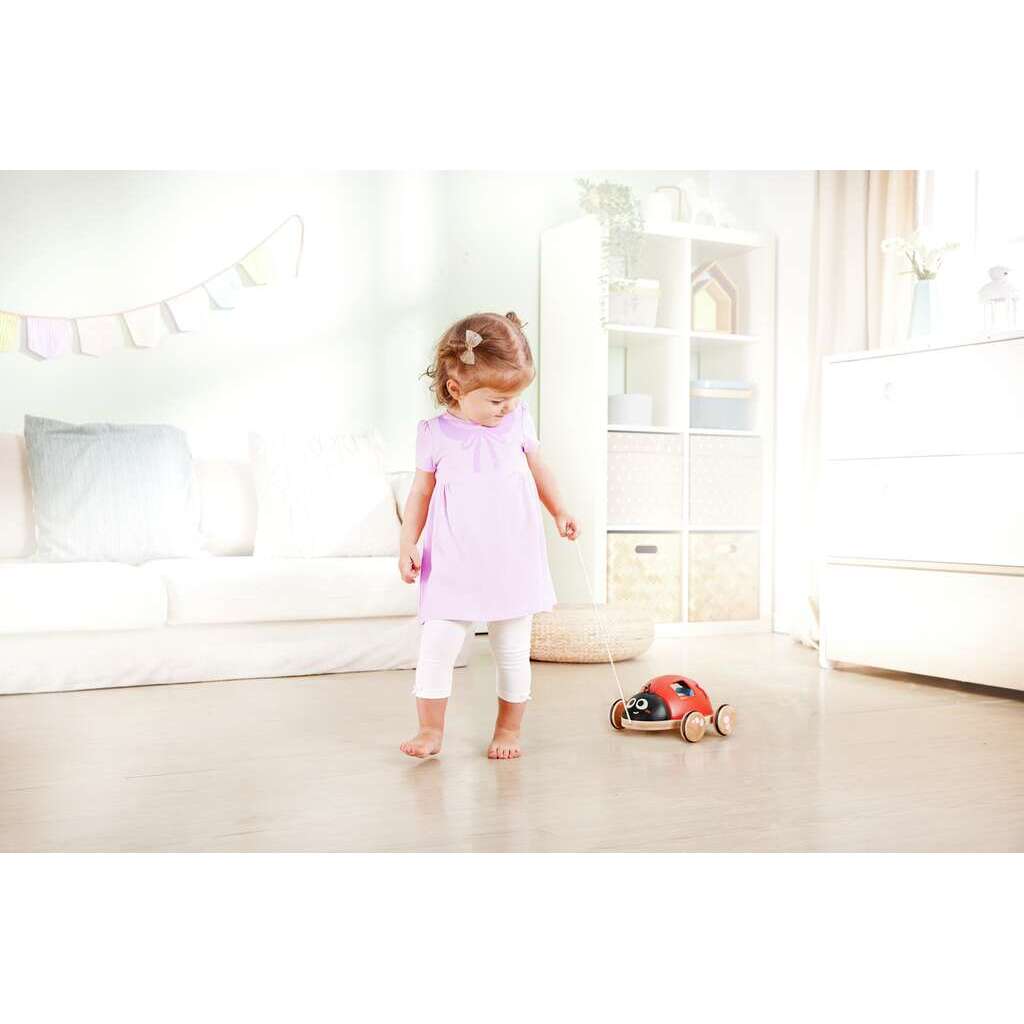 Mariquita Clasificadora de Formas Mariquita Clasificadora de Formas