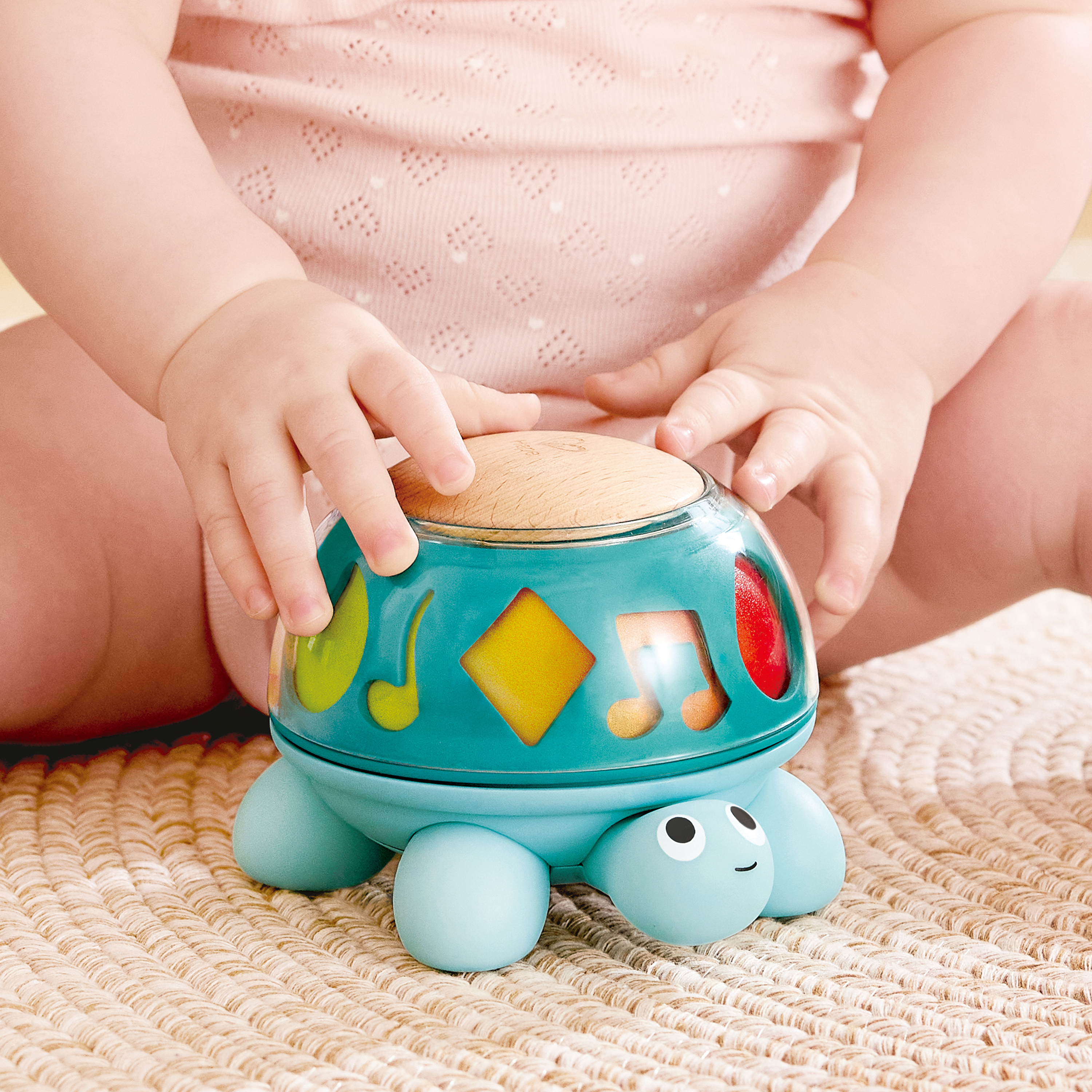 Twist & Tune Turtle