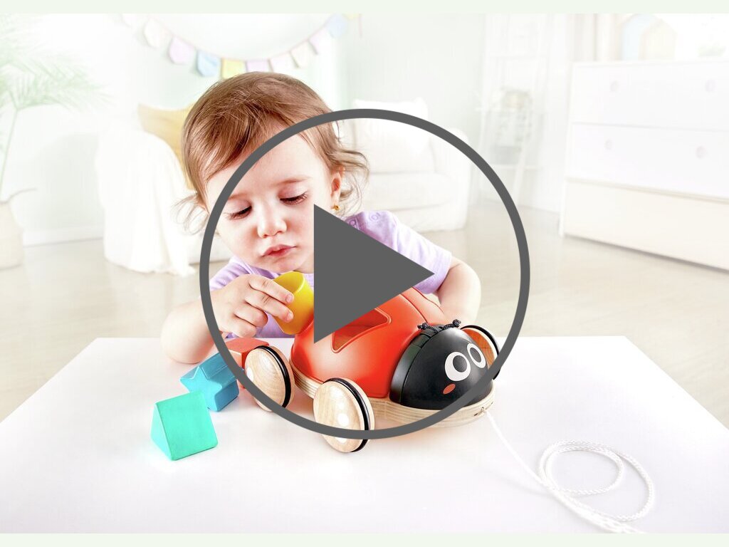 Mariquita Clasificadora de Formas Mariquita Clasificadora de Formas