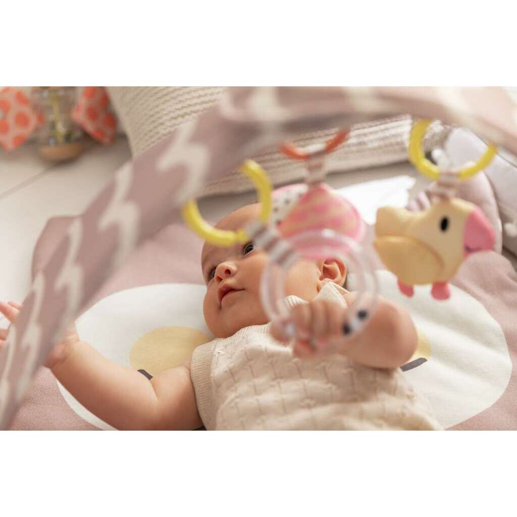 Juego del Búho Sina Juego del Búho Sina