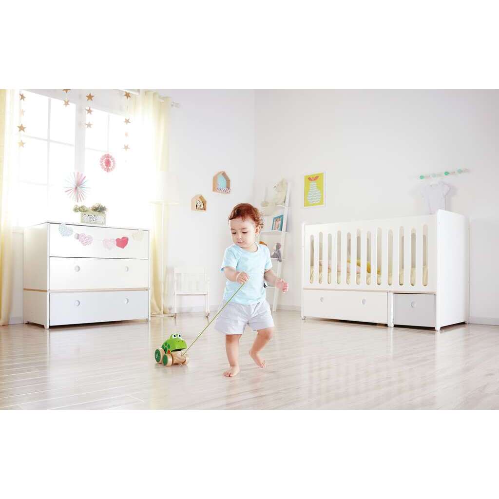 Rana de Arrastre Rana de Arrastre