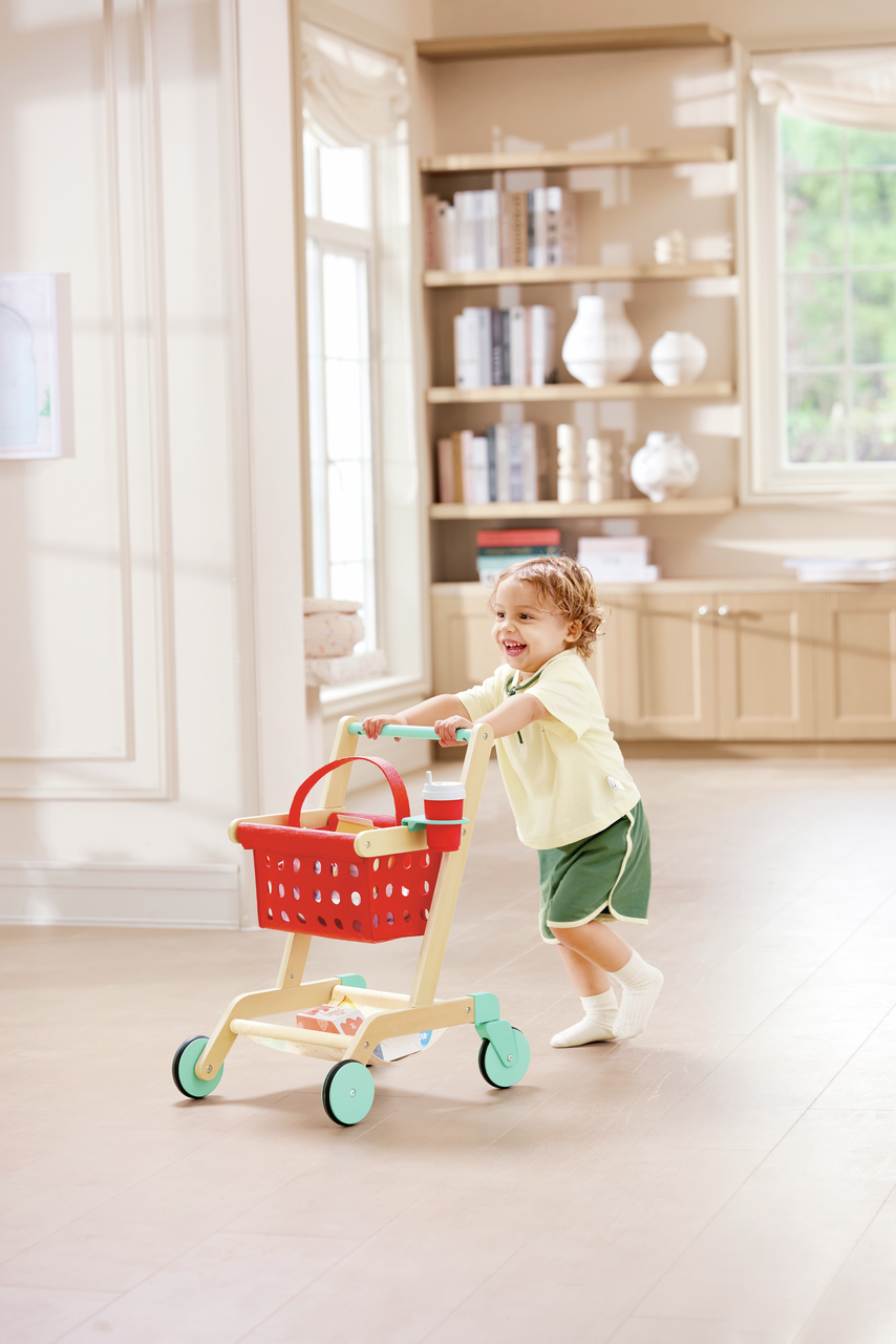 Carrito y Cesta del Pequeño Comprador Carrito y Cesta del Pequeño Comprador